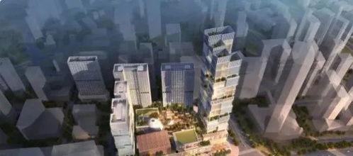 龙岗区刘先生爆料案件最新,案件最新进展，真相即将揭晓！”  第3张